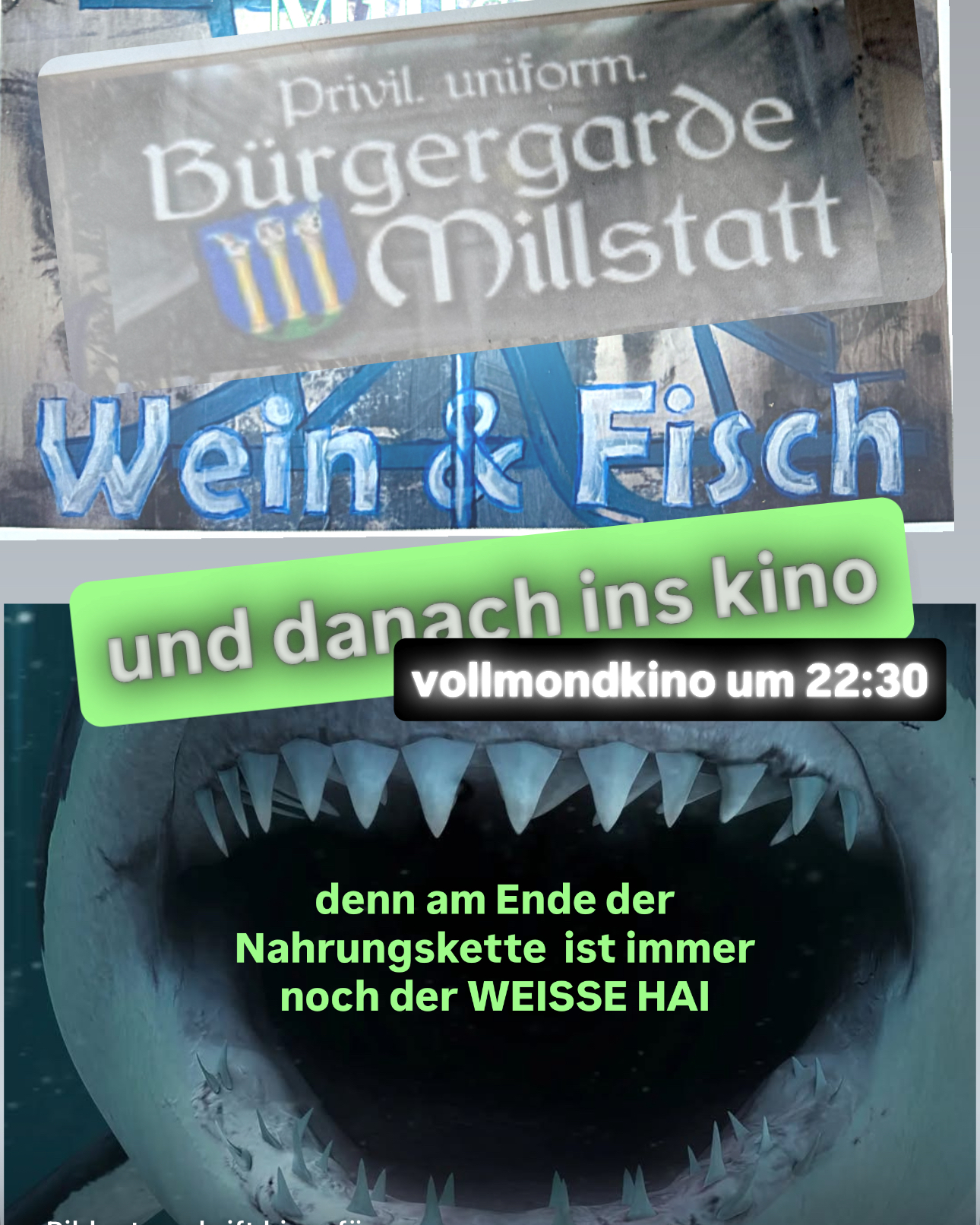 DER WEISSE HAI 2 Bild